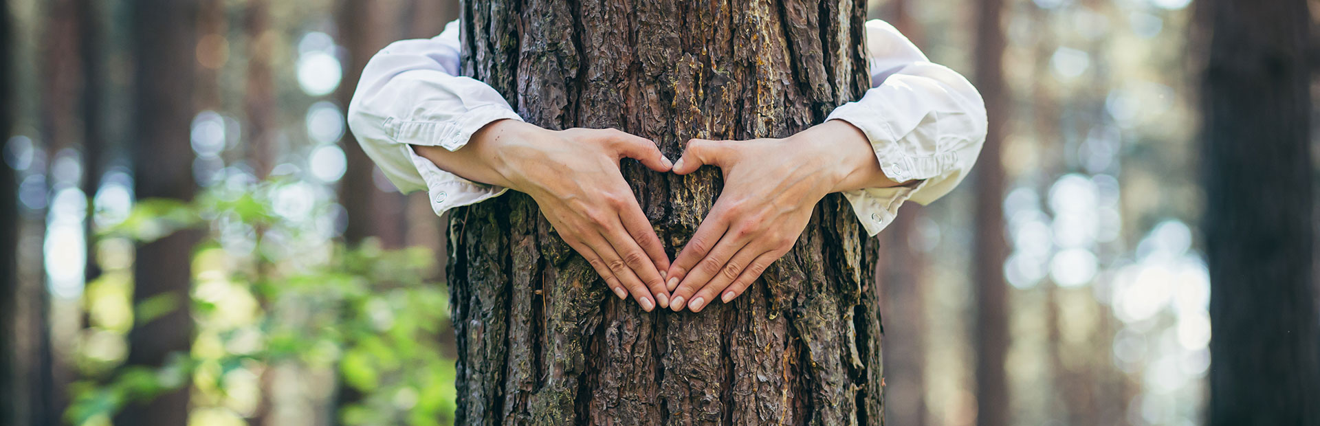 Person hugs tree with hands in the shape of a heart - SI-SUITES Hotel Stuttgart